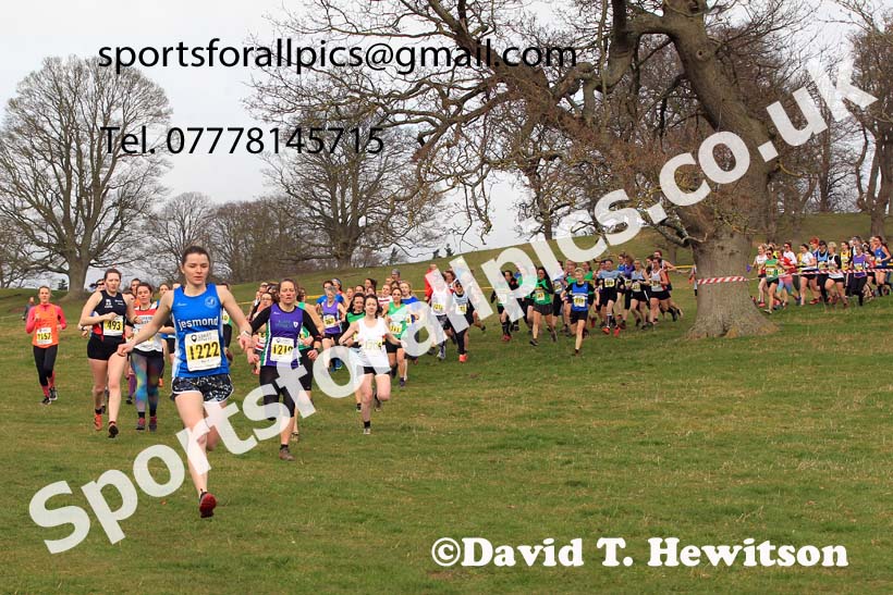 Senior Womens 2023 NEHL, Alnwick, Northumberland. Photo: David T. Hewitson/Sports for All Pics